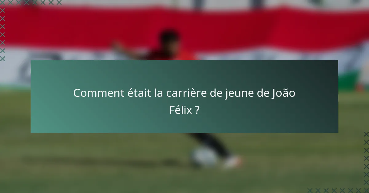 Comment était la carrière de jeune de João Félix ?
